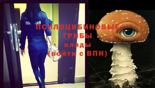 jwh Абинск