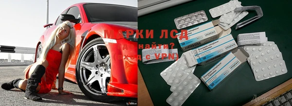 твердый Алзамай